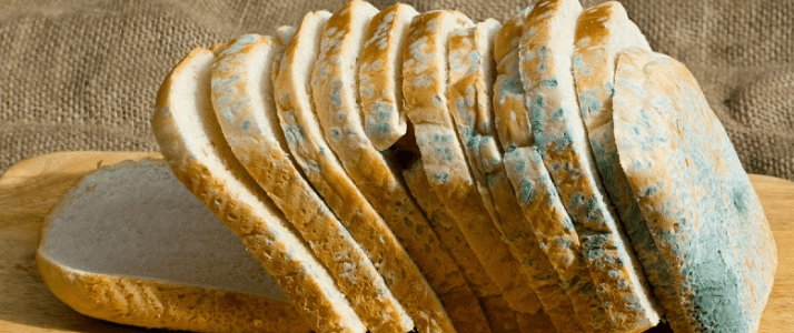 Интоксикация плесенью на хлебе: симптомы и лечение