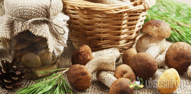 Лучшие рецепты маринованных грибов на зиму в банках с уксусом