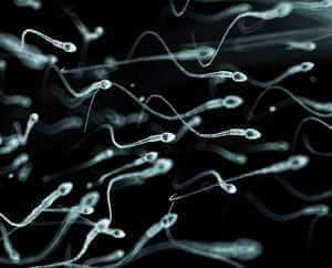 Можно ли отравиться спермой?