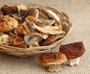 Можно ли отравиться сушеными грибами — симптомы, первая помощь