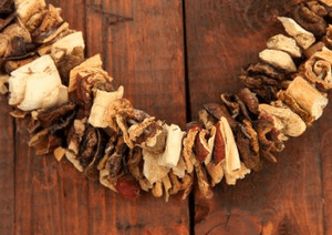 Можно ли отравиться сушеными грибами — симптомы, первая помощь