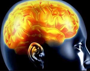 Отравление и интоксикация головного мозга — причины и последствия отравления
