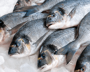 Отравление рыбой: виды, симптомы и причины, первая помощь и лечение