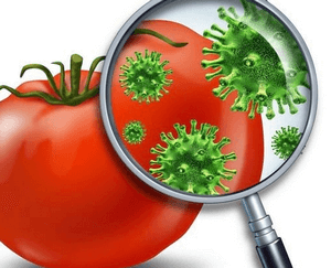 Пищевые отравления микробного происхождения