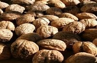 Сколько калорий в грецком орехе