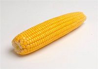 Сколько калорий в початке кукурузы