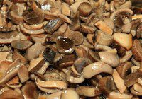 Сколько варить грибы говорушки