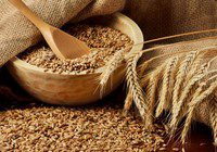 Сколько варить пшеничную кашу