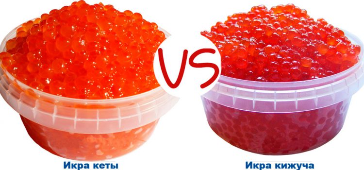 Chum salmon သို့မဟုတ် coho salmon caviar - ဘယ်အနီရောင် caviar ပိုကောင်းလဲ။ ကွာခြားချက်ကဘာလဲ။